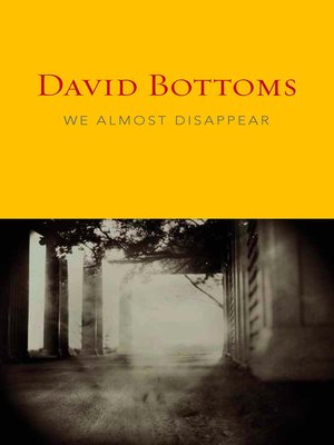 cover image of We Almost Disappear